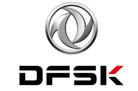 dfsk logo